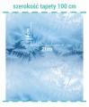 Wielkość wzoru na tapecie winter frost