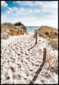 Słoneczne zdjęcie piaszczystego dojścia na plażę nad Morzem Bałtyckim. Ten nadmorski plakat przez cały rok będzie wnosił do wnętrza atmosferę gorącego lata