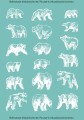 TATTOO_439_wild_bears_set_bialy.jpg