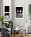Zestaw fotografii zawierający plakat astronauta na księżycu