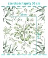 Wymiary wzoru na tapecie liście eukaliptusa