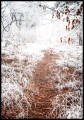 Plakat - fotografia ścieżki pokrytej śniegiem