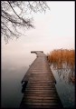 Plakat drewniany pomost - jesień nad zamglonym jeziorem