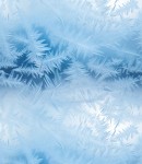 Próbka tapety winter frost