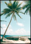 Plakat palma nad oceanem