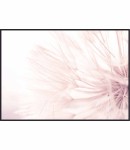 Plakat Lekkość dmuchawca