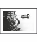 Plakat kaczka krzyżówka