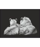 Plakat Rodzina lwów