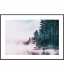 Plakat mgła o poranku