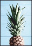 Plakat Ananas na niebieskim tle