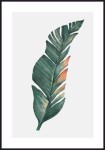 Plakat liść bananowca