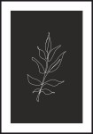 Plakat zarys gałązki