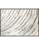 Plakat detale muszli morskiej