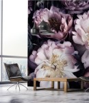 Fototapeta bouquet of peonies on black