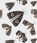 Próbka tapety wzorzyste ćmy