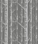 Próbka tapety brzozy na szarym tle