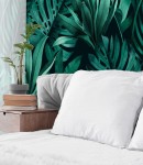 Tapeta liście monstery, palmy, bananowca