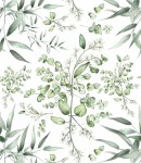 Próbka tapety liście eukaliptusa