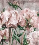 Próbka tapety duża artystyczna piwonia