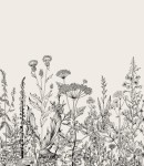 Próbka tapety botaniczna łąka w beżu