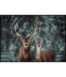 Plakat jelenie w śnieżnym lesie