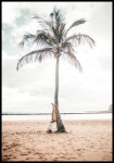 Plakat palma na plaży