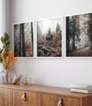 Zestaw plakatów w ponurym lesie