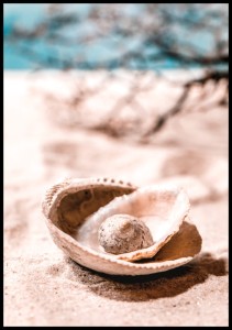 Plakat piaszczysta plaża z muszlami