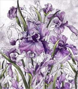 Próbka tapety irysy na betonowym tle