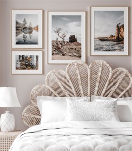 Zestaw plakatów zadziwiająca przyroda