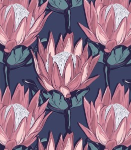 Próbka tapety protea królewska