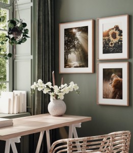 Zestaw plakatów blask zachodzącego słońca