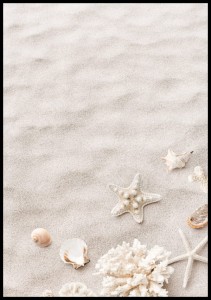 Plakat plaża z muszlami, rozgwiazdami i koralowcami