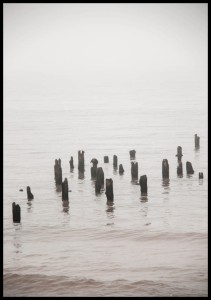 Plakat mglisty poranek na plaży