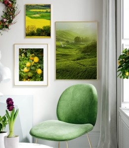 Zestaw plakatów siła roślin