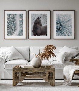 Zestaw plakatów mroźny klimat