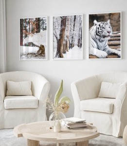 Zestaw plakatów brąz z dodatkiem bieli