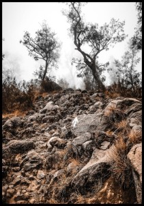 Plakat wulkan w Indonezji