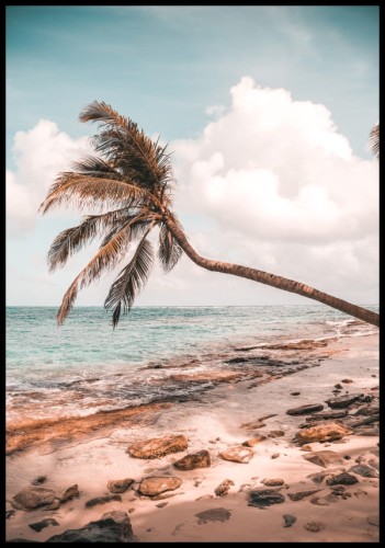 Plakat z urokliwym zdjęciem palmy rosnącej na plaży i skłaniającej się ku wodzie