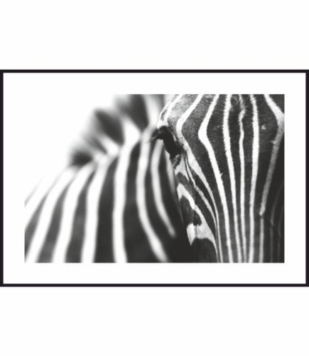 Czarno-biały plakat przedstawiający zbliżenie