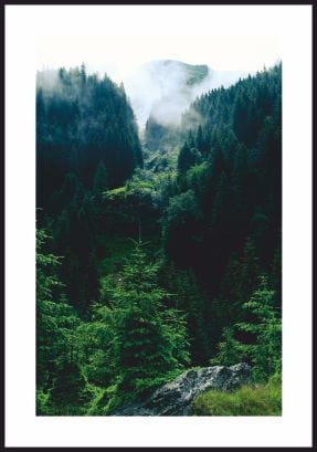 PLAK_090_tajemniczy_las_w_karpatach_RAMKA.jpg