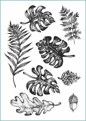 Tatuaże tymczasowe leśne liście paproci, dębu, monstery, szyszek i żołędzi