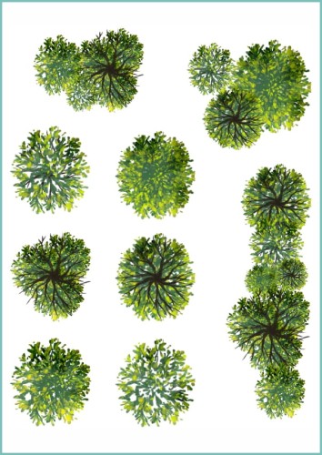 Tatuaże tymczasowe green tree top view