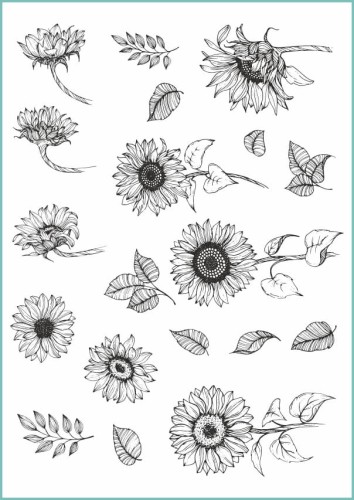 TATTOO_432_sloneczniki_rysowane_kreska.jpg
