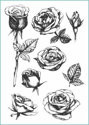 Tatuaże zmywalne z czarnymi rysunkowymi różami i liśćmi. Kwiaty na wodnych tatuażach rysowane cienką kreską.