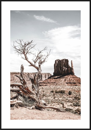 Plakat monument valley skała na pustyni z białym marginesem dookoła.