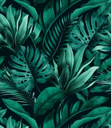 Próbka tapety liście monstery, palmy, bananowca