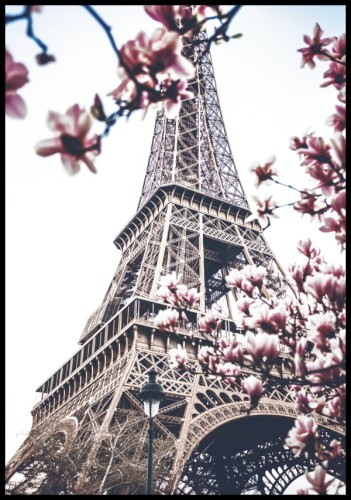 Piękna fotografia wieży Eiifla, przyozdobiona kwiatami pięknej różowej magnolii
