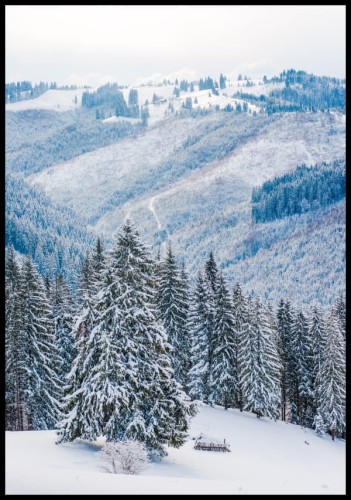 Zdjęcie pięknego widoku na zimowe zalesione góry