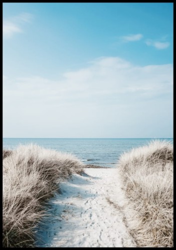 Zdjęcie nadmorskiej ścieżki porośniętej trawiastą roślinnością
